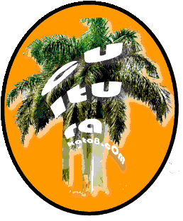 kulturakat08